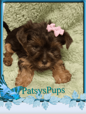 Yochon looking irritated