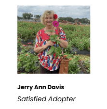Jerry Ann Davis