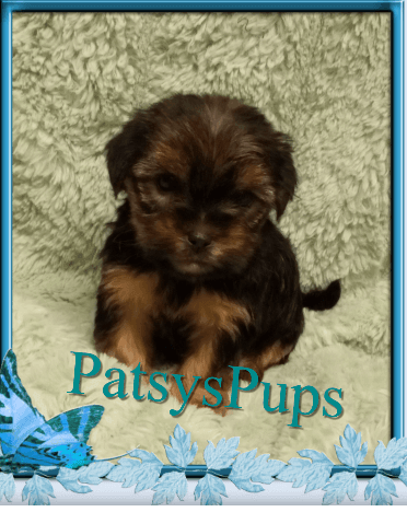 Sweet baby girl on green blanket !