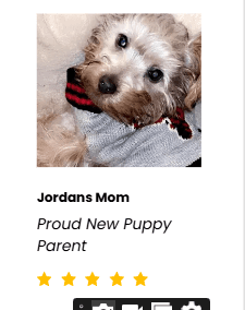 Jordans Mom
